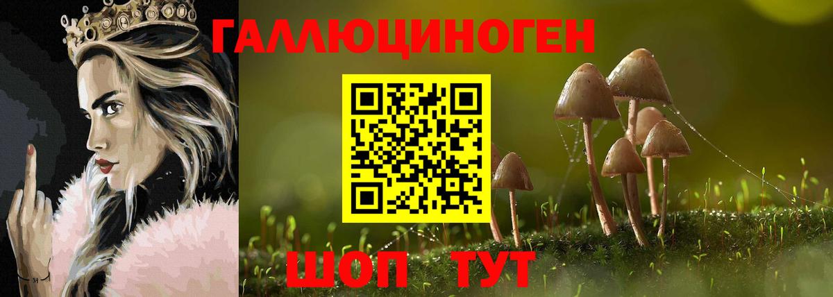 Коряжма  Псилоцибиновые грибы мицелий  Вход с VPN 